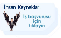 İnsan Kaynakları