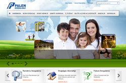 Palen Doğalgaz Dağıtım Kurumsal Sitesi